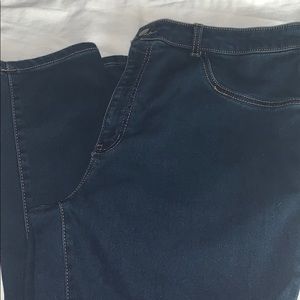 Wild Fable High rise Jegging